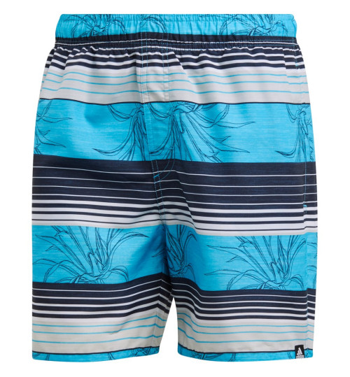 Adidas Stripe Shorts №XS