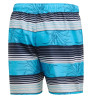 Adidas Stripe Shorts №XS