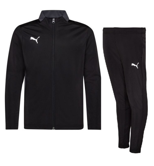 Puma Ftblplay Tracksuit №116